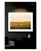 Kingsbarns Golf Links - (Kingsbarns 12th II)