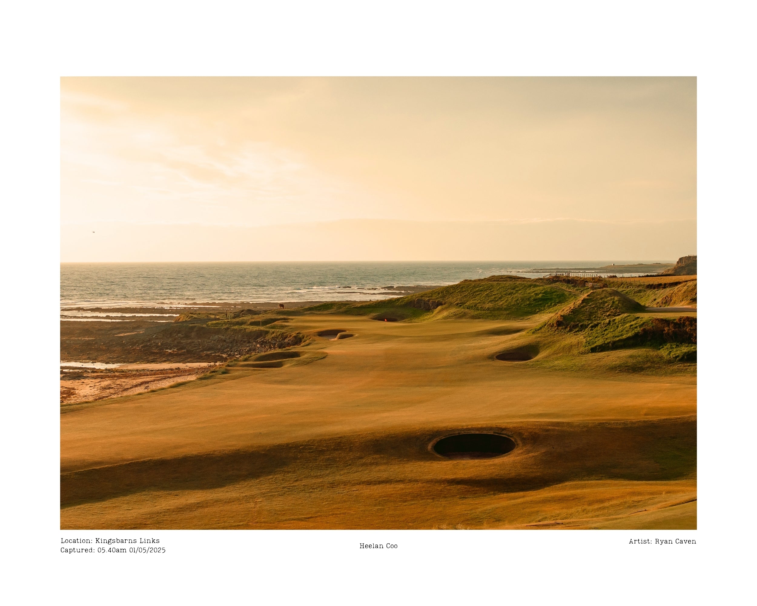 Kingsbarns Golf Links - (Heelan Coo)