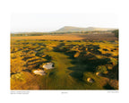 Dumbarnie Golf Links 5th - (Agronomy)