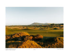Dumbarnie Golf Links - (Gorse)