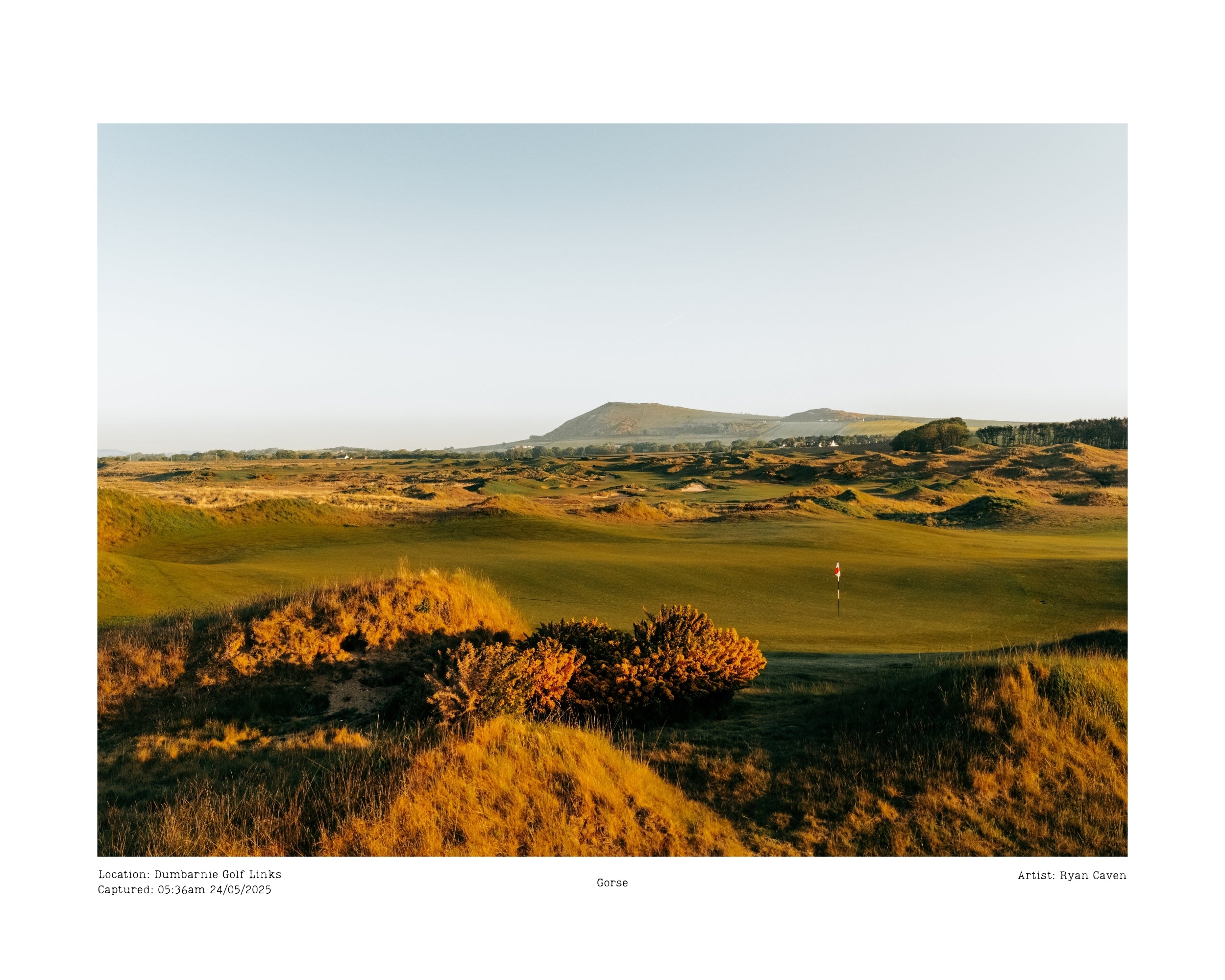 Dumbarnie Golf Links - (Gorse)